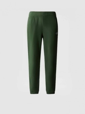 Штани для туризму THE NORTH FACE ( NF0A8561 ) 100 GLACIER PANT 2025