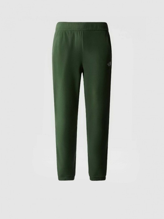 Штани для туризму THE NORTH FACE ( NF0A8561 ) 100 GLACIER PANT 2025