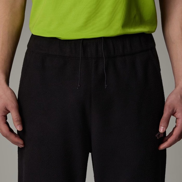 Штани для туризму THE NORTH FACE ( NF0A8561 ) 100 GLACIER PANT 2025