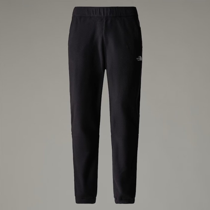 Штани для туризму THE NORTH FACE ( NF0A8561 ) 100 GLACIER PANT 2025
