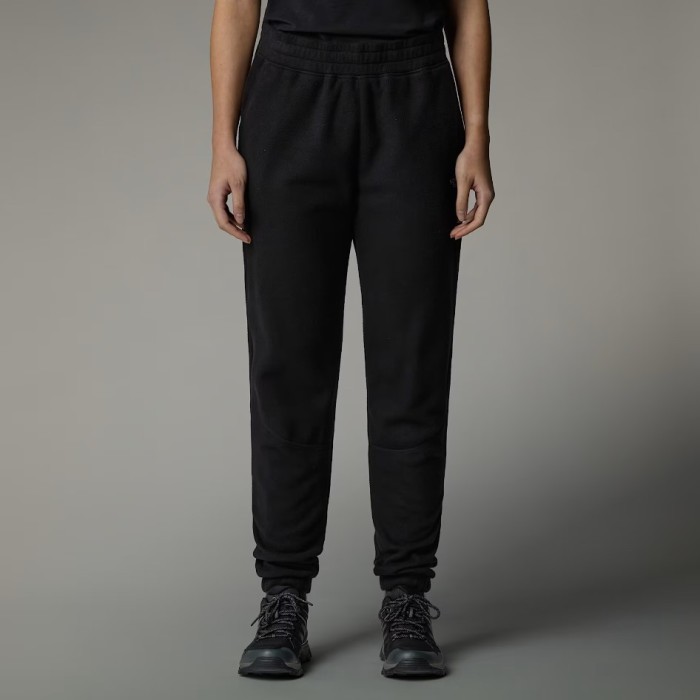 Брюки для туризма THE NORTH FACE ( NF0A855Q ) 100 GLACIER JOGGER 2025