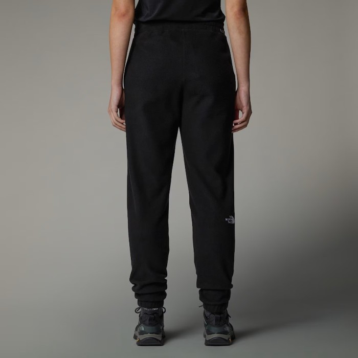 Штани для туризму THE NORTH FACE ( NF0A855Q ) 100 GLACIER JOGGER 2025