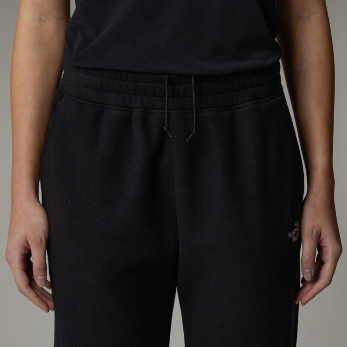 Штани для туризму THE NORTH FACE ( NF0A855Q ) 100 GLACIER JOGGER 2025