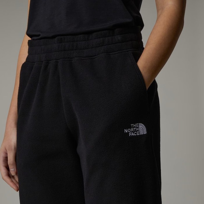 Брюки для туризма THE NORTH FACE ( NF0A855Q ) 100 GLACIER JOGGER 2025