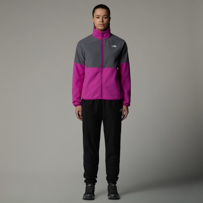 Брюки для туризма THE NORTH FACE ( NF0A855Q ) 100 GLACIER JOGGER 2025