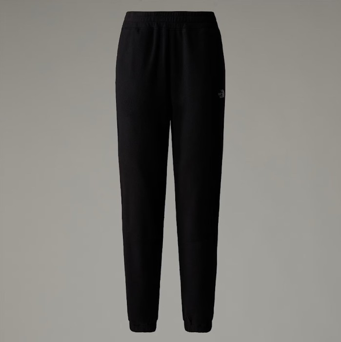 Брюки для туризма THE NORTH FACE ( NF0A855Q ) 100 GLACIER JOGGER 2025
