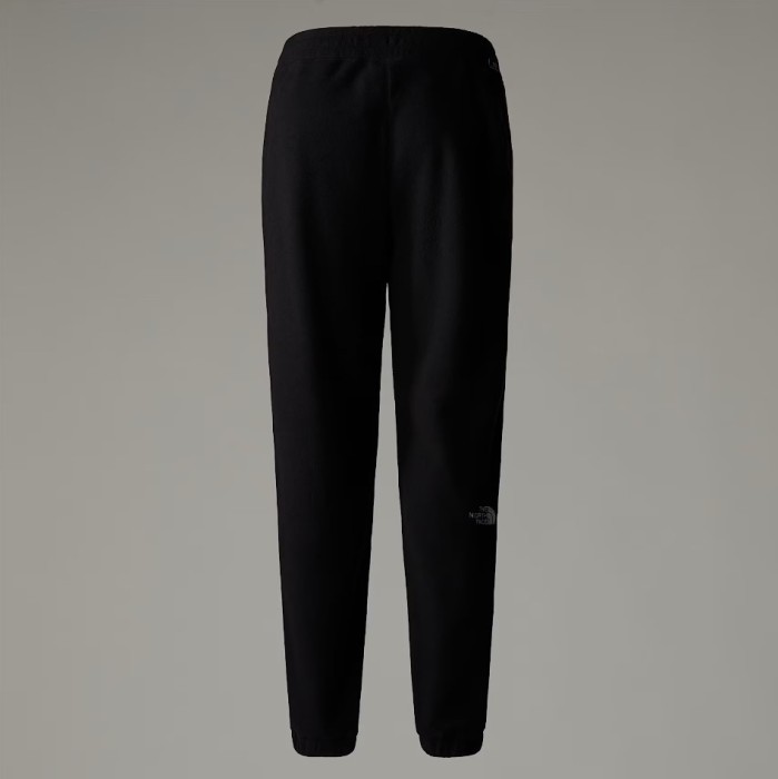 Брюки для туризма THE NORTH FACE ( NF0A855Q ) 100 GLACIER JOGGER 2025