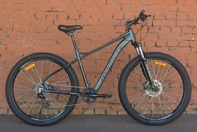 Велосипед гірський з широкими колесами 29" Avanti Boost Grey (2026) 19"