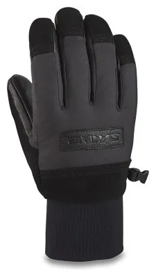 Рукавички для зимових видів спорту DAKINE ( 10003168 ) PINTO GLOVE 2021
