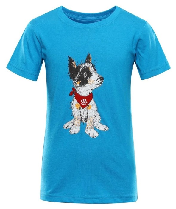 Футболка Alpine Pro Ecomo 3