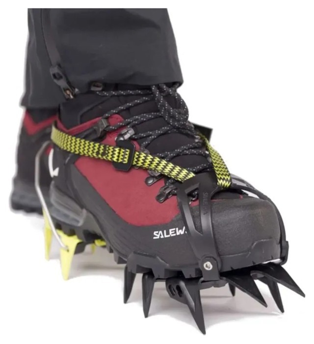 Ботинки Salewa Ortles Ascent MID GTX Wmn