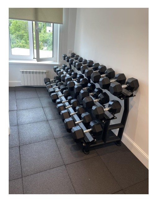 Устойчивая гантельная 3-х ярусная Generation Fitness FF71D1E (на 15 пар)