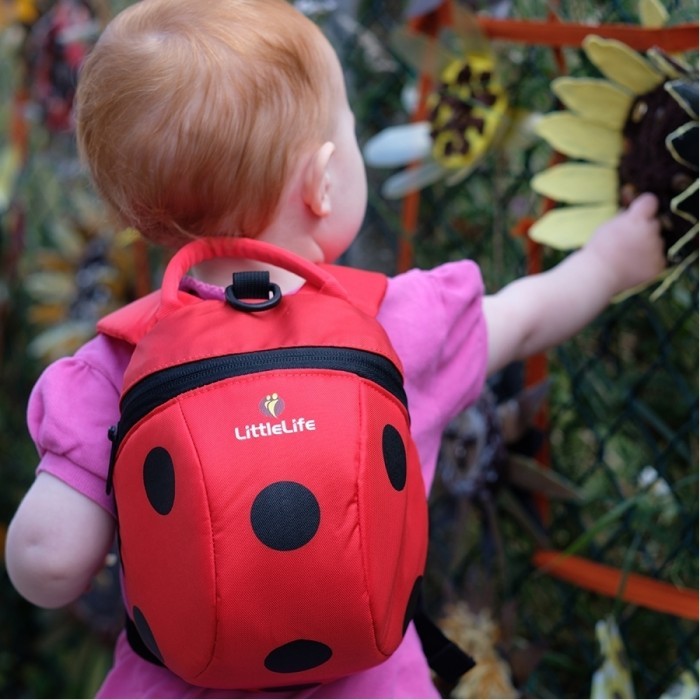Рюкзак Little Life Animal Toddler ladybird new