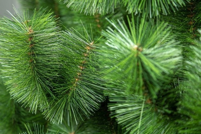 Сосна искусственная 