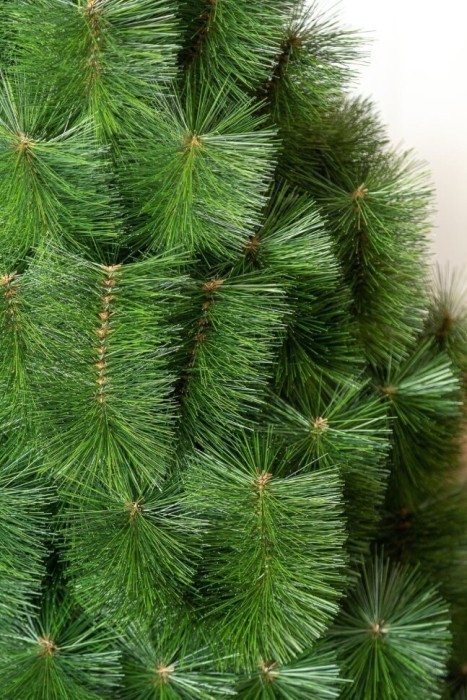 Сосна искусственная 