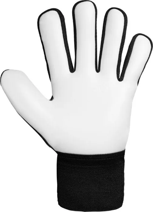 Перчатки вратарские Reusch Attrakt Starter Solid Junior 5572514 7700 г.5, черные