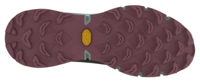 Кросівки Dynafit ULTRA 100 GTX Wms, укр, укр