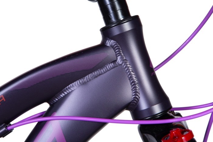 Велосипед 26" Formula ALPINA 2024 (темно-фіолетовий (м))