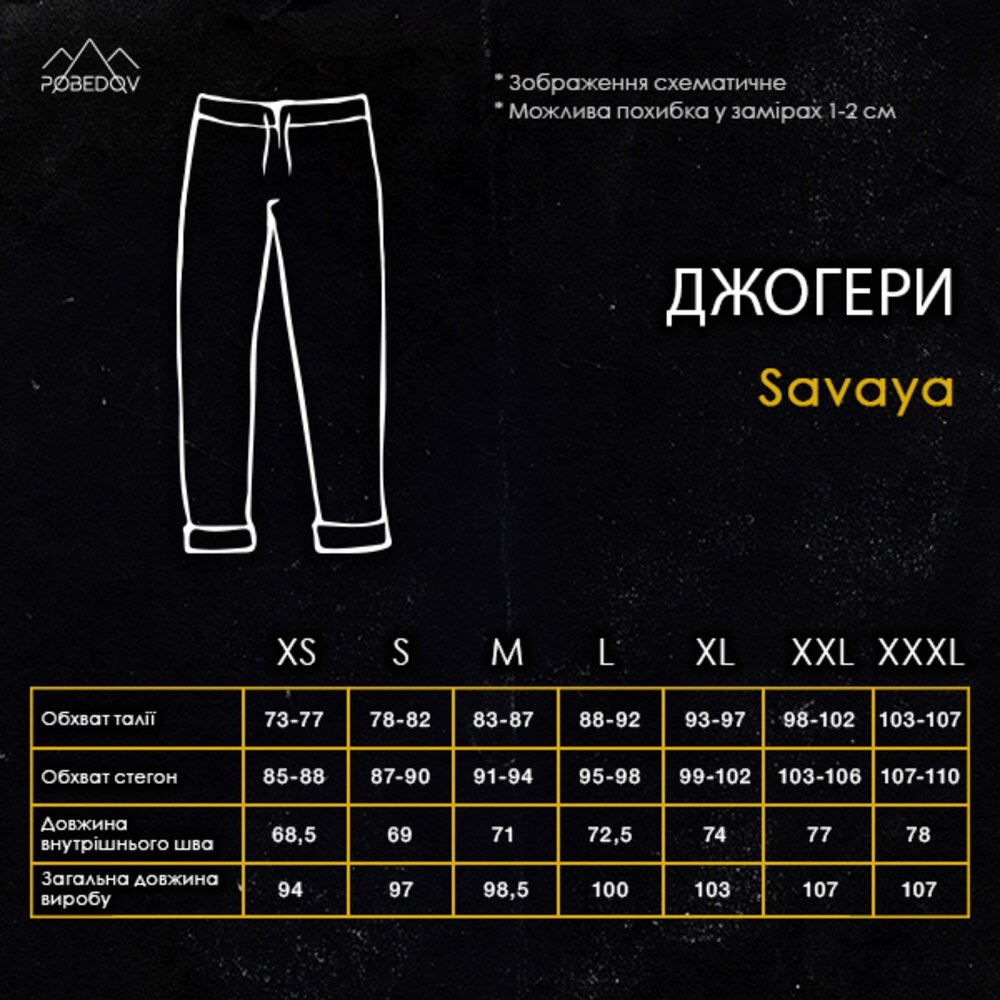 Черные джогера для мужчин. Мужские демисезонные легкие брюки джогеры Pobedov Savaya