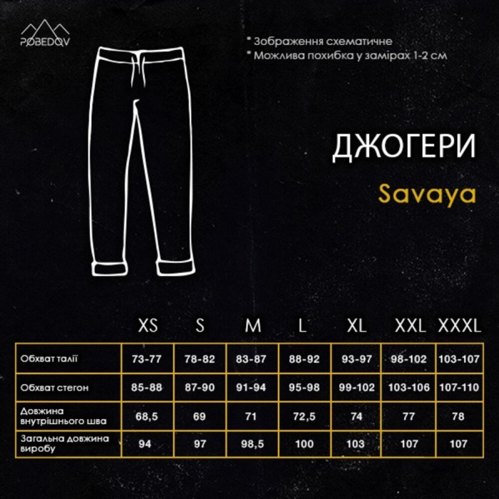 Черные джогера для мужчин. Мужские демисезонные легкие брюки джогеры Pobedov Savaya