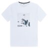 Picture Organic футболка Travis plein air L