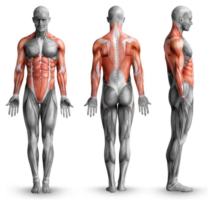 Спортивний турнік MC40, укр, укр