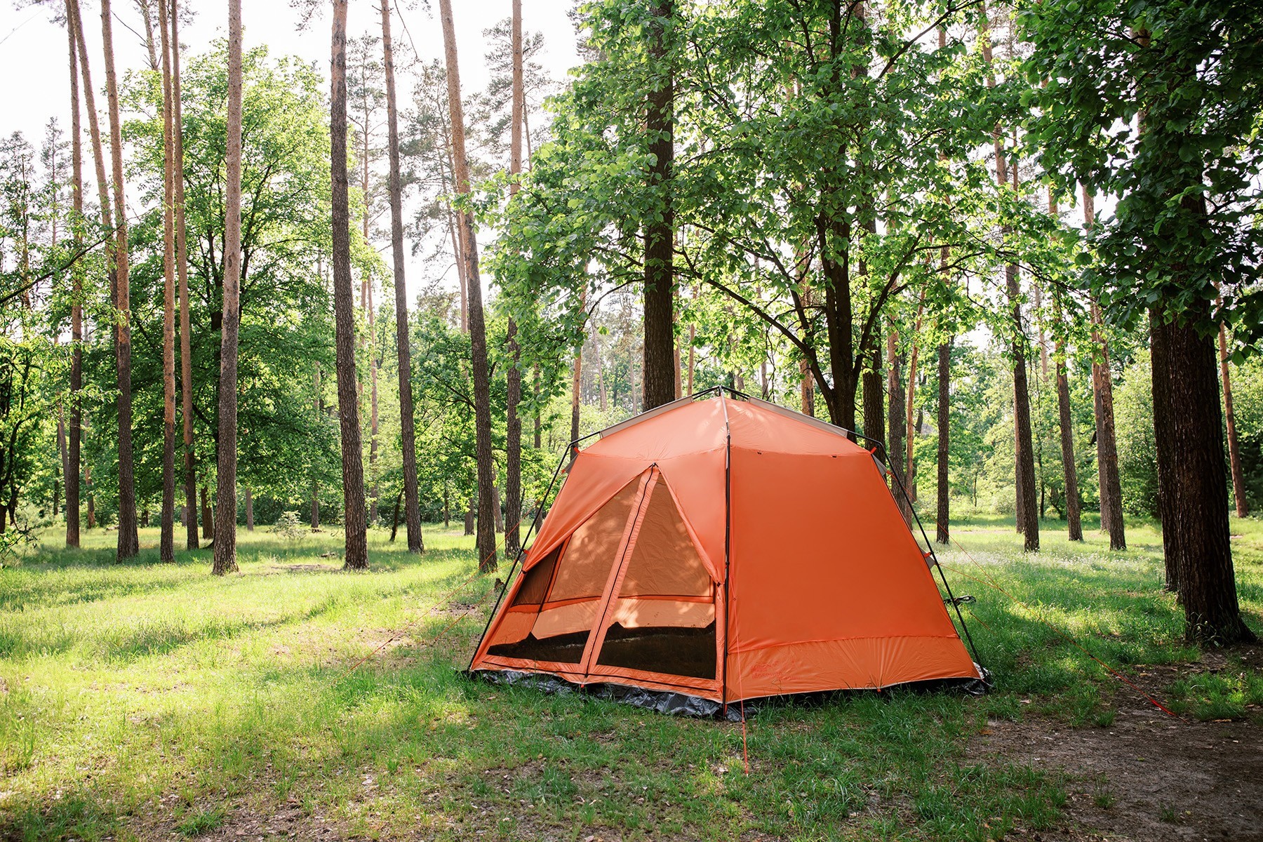 Шатер Tramp Lite Mosquito orang