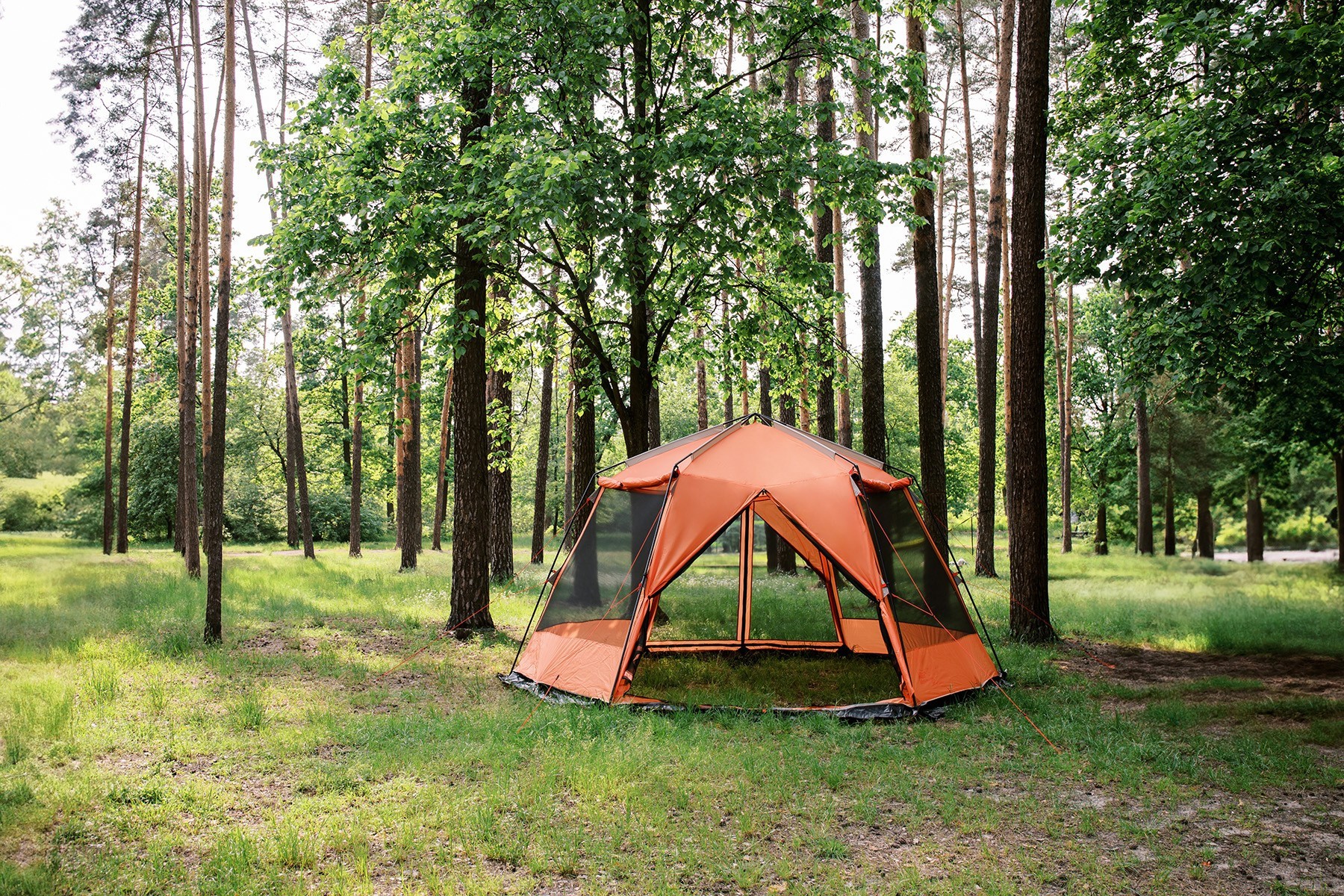 Шатер Tramp Lite Mosquito orang