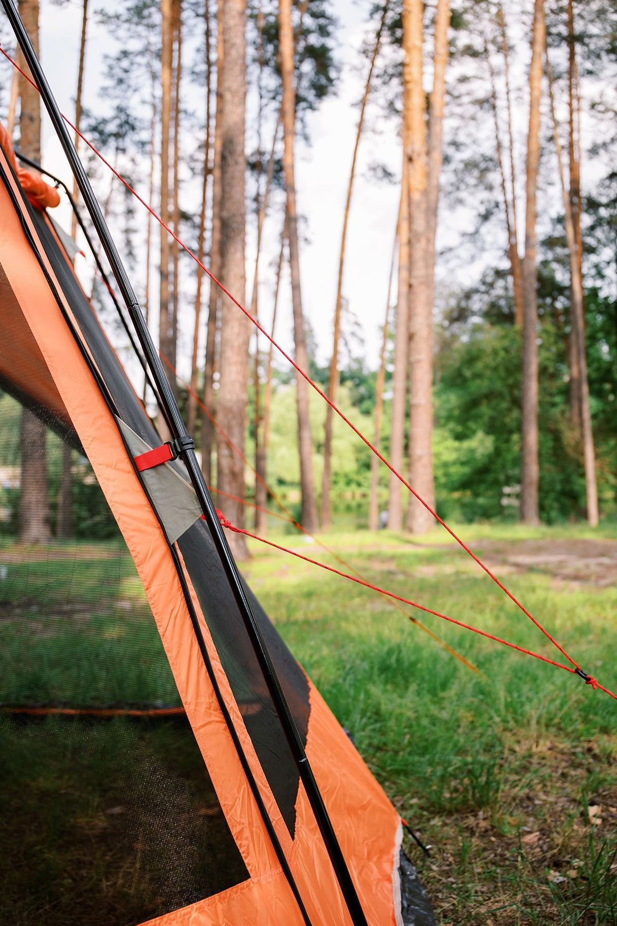 Шатер Tramp Lite Mosquito orang