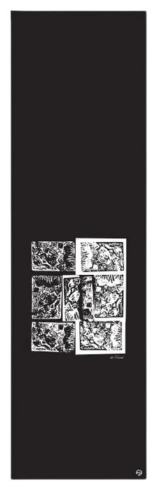 Наждак North Ryan Ruegg Pro, укр, укр