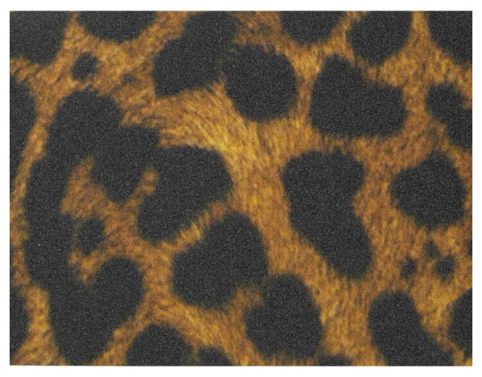 Наждак North Ryan Ruegg Pro