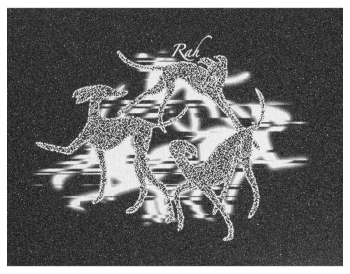 Наждак North Ryan Ruegg Pro