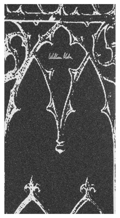 Наждак North Ryan Ruegg Pro