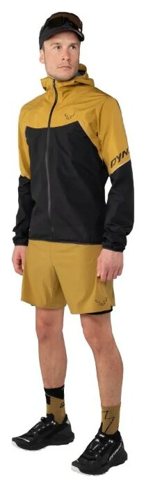 Шорти Dynafit Alpine Pro 2/1 Mns