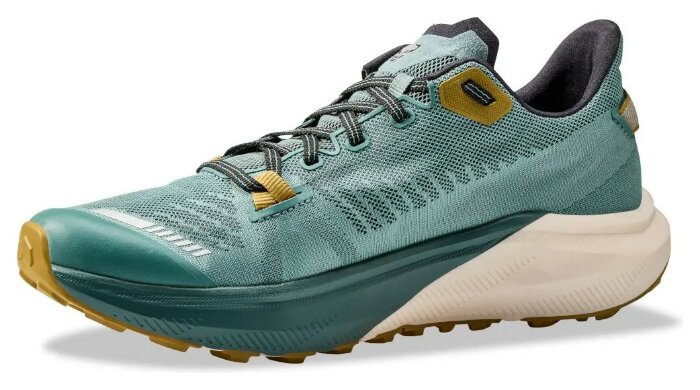 Кроссовки Dynafit Trail Mns