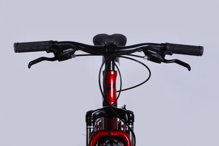 Велосипед AL 24" Formula BLACKWOOD 1.0 DD FR рама-12,5" червоно-сріблястий 2025