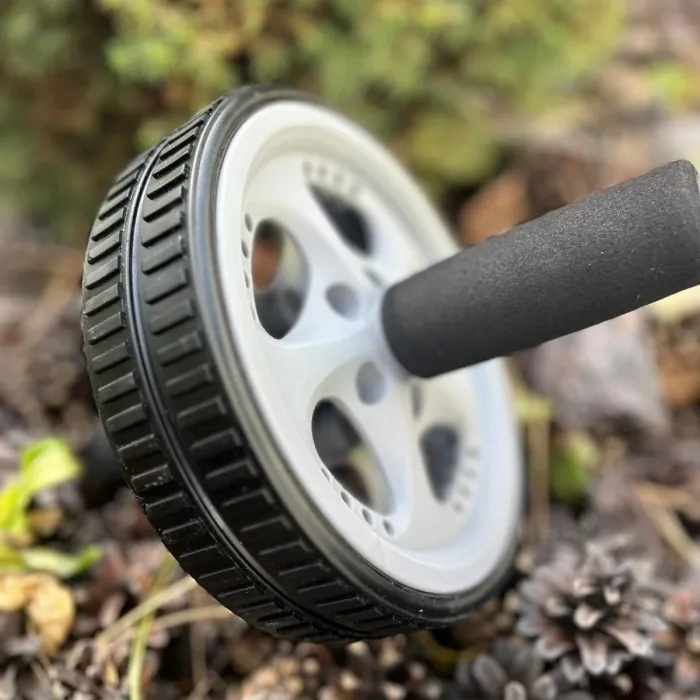 Колесо для преса PowerPlay PP-4345 Exercise Wheel (d16.5cm.)