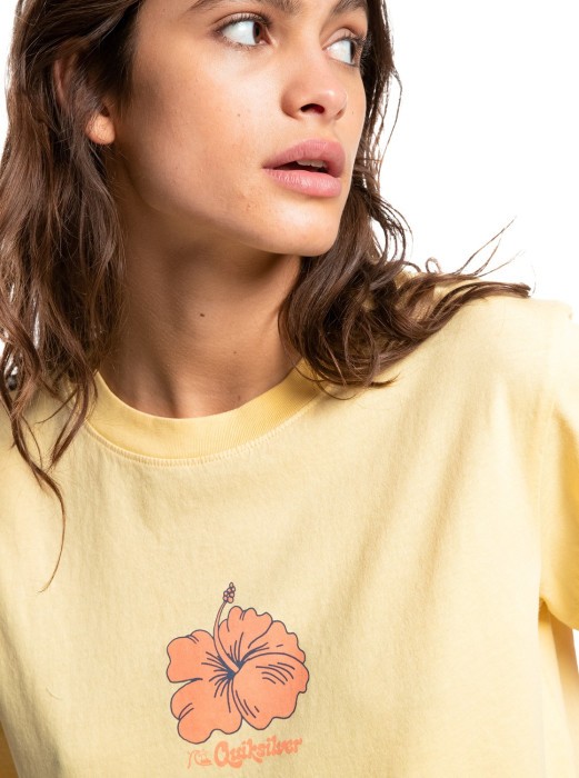 Футболка Quiksilver (EQWZT03082) CROPSSTEE W TEES 2022