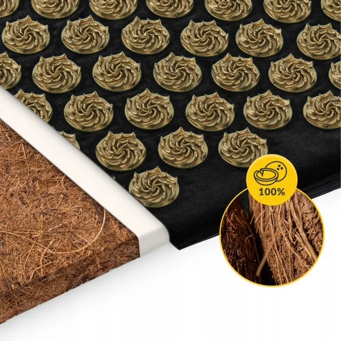 Коврик акупунктурный с подушкой 4FIZJO Eco Mat XL Аппликатор Кузнецова Black/Gold (P-5907739313591)