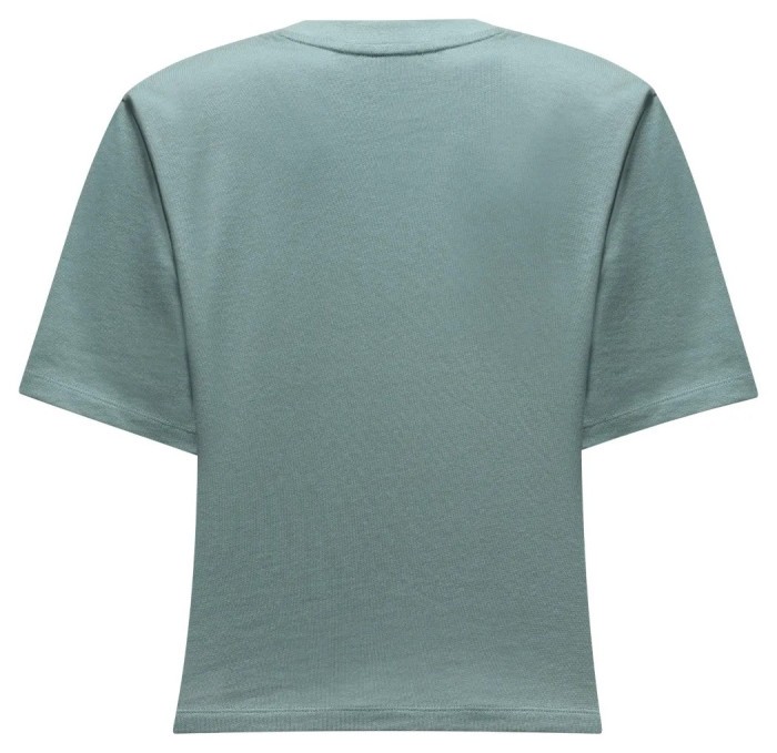 Футболка Salewa Eagle 2 T-Shirt Wmn