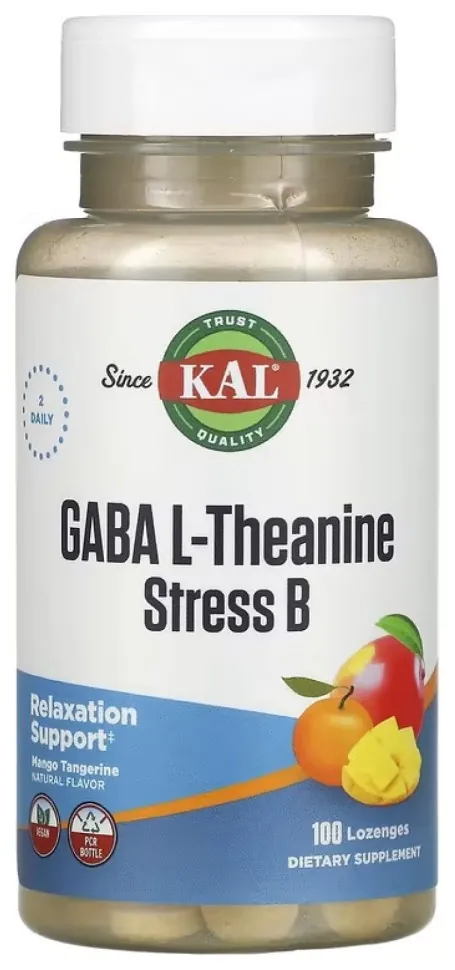 GABA L-Theanine Stress B - 100 lozenges (DSN_2023-10-5194)