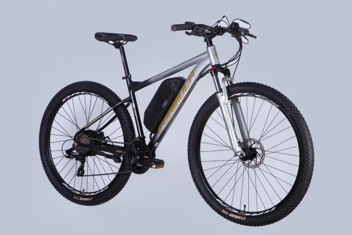 Велосипед з електроприводом 29" AL Formula eF-1 DD CS рама-18,5" 48B 12.5А*г 500Вт сріблясто-чорний 2026