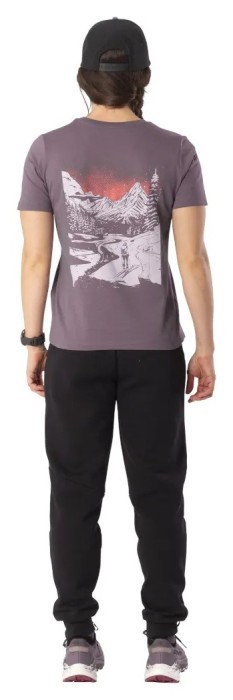 Футболка Dynafit Back Graphic Co T-Shirt Wmn