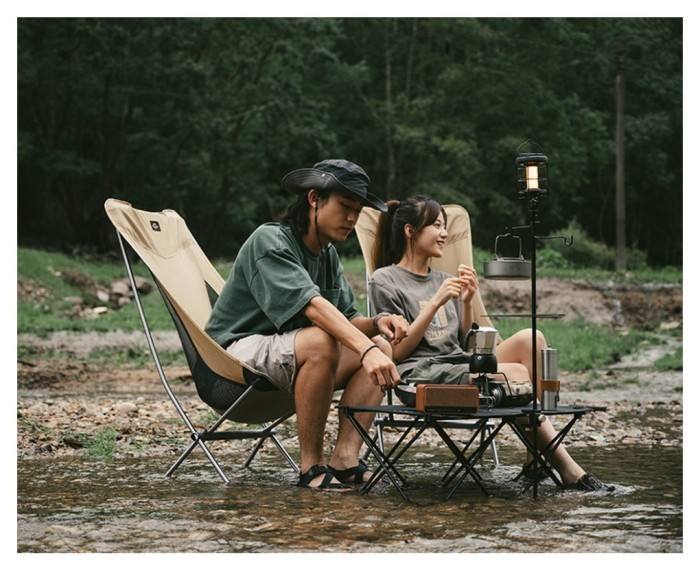 Кресло складное Naturehike Stellaluna L04 CNK2450JJ015, размер L, алюминий, коричневый