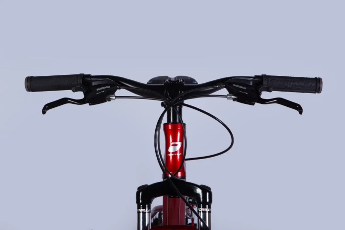 Велосипед AL 26" Formula BLACKWOOD DD FR рама-13" червоно-сріблястий 2025