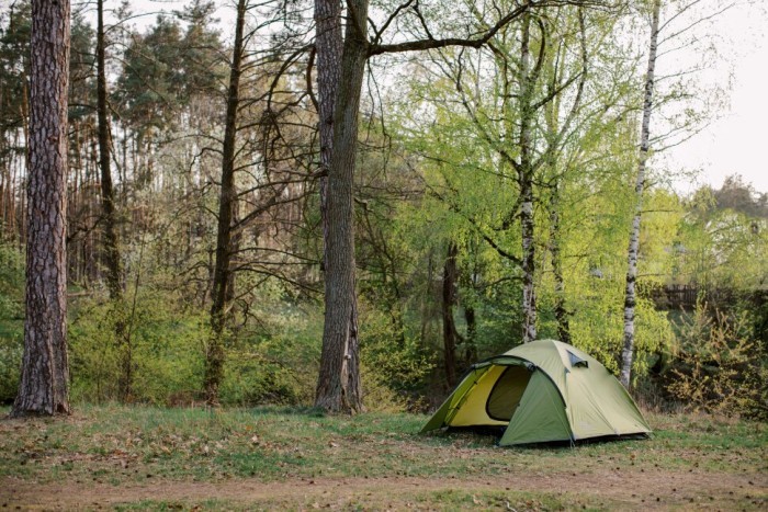 Палатка Tramp Lite Camp 3 olive UTLT-007