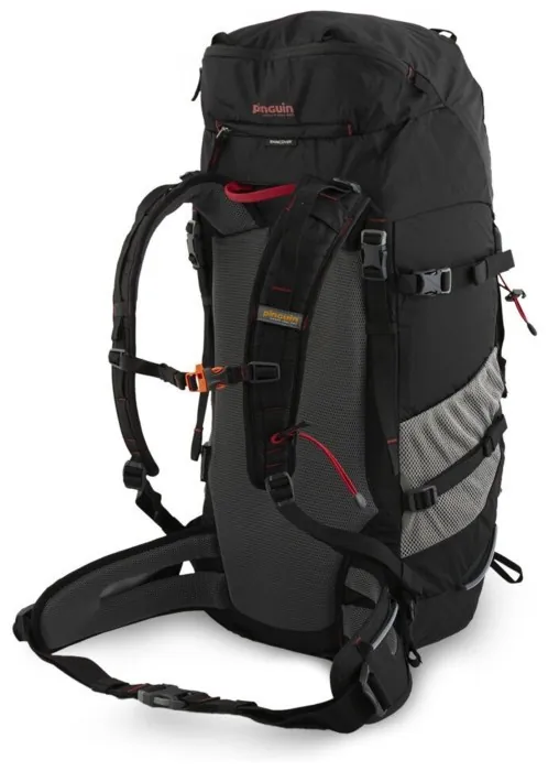 Рюкзак Pinguin Walker 50, Black (PNG 321197) 2020
