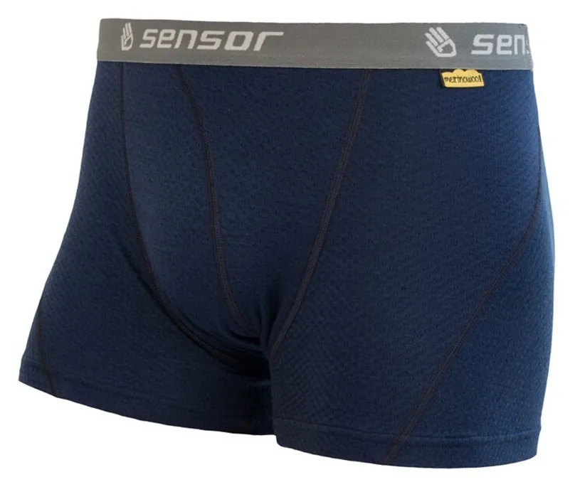 Термотруси чоловічі Sensor Merino DF deep blue 19200032, SM21M-deepblue (L)