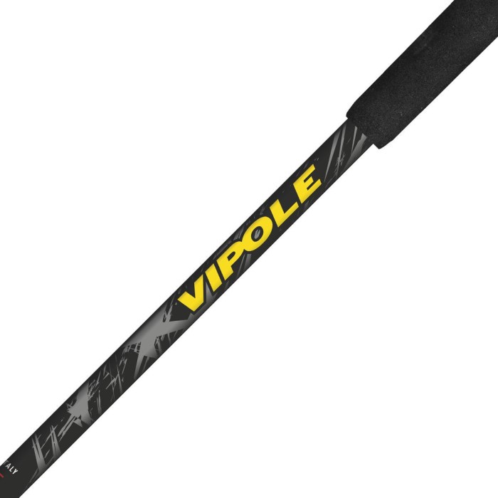 Палиці трекінгові Vipole Discovery Cork DLX (S25 12)