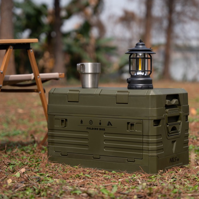 Ящик складаний NILS CAMP NCB4003 42 л, зелений
